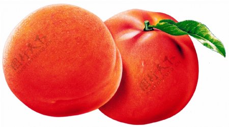 水果蔬果美图桃子