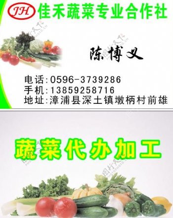佳禾蔬菜专业合作社图片