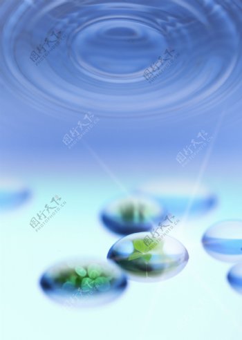 水纹天叶子水滴图片