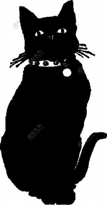 黑猫艺术剪辑