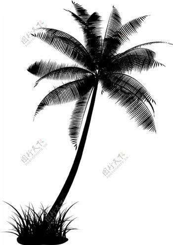 椰子树的剪影矢量素材AI格式