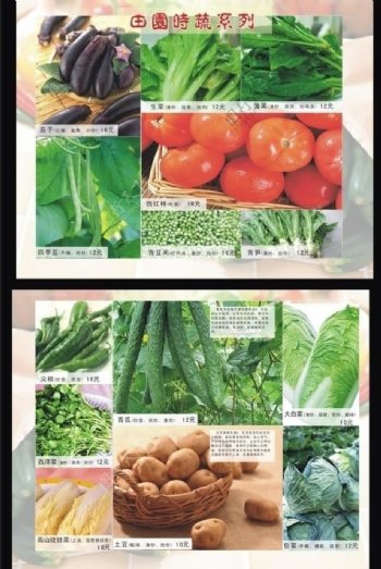田园蔬菜图片