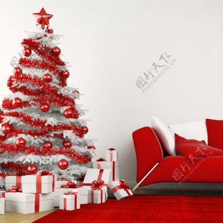 室内圣诞树图片