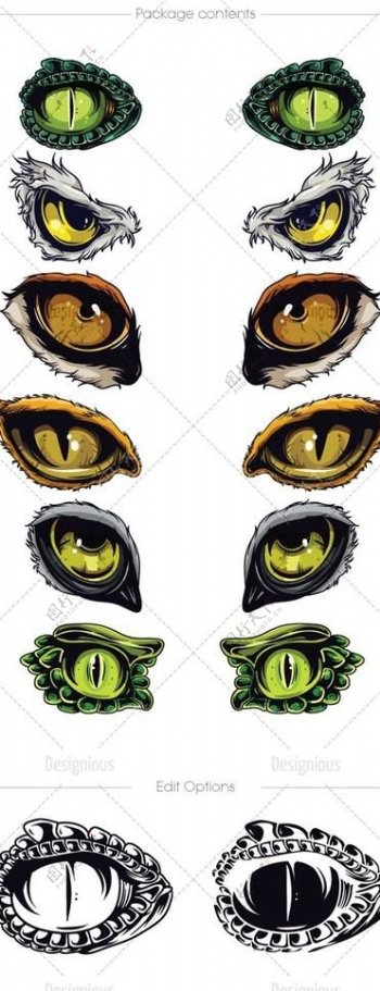 动物眼睛蛇眼