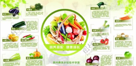 蔬菜宣传营养答配图片