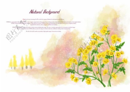 黄色小花花卉植物psd素材