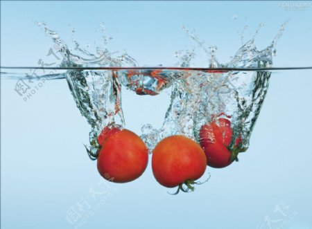番茄背景图