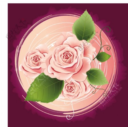 印花矢量图色彩粉红色盛开的花免费素材