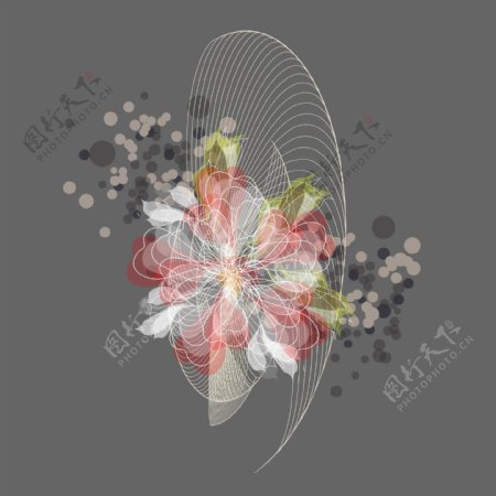 印花矢量图几何花卉专题圆形植物花朵免费素材