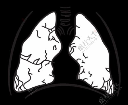 58294mainthe.brain.in.spacepage157lungs