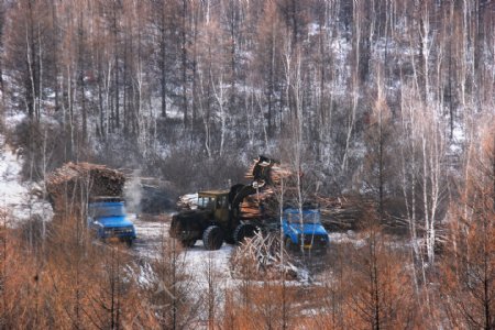 冬季南山采伐装运剪影图片