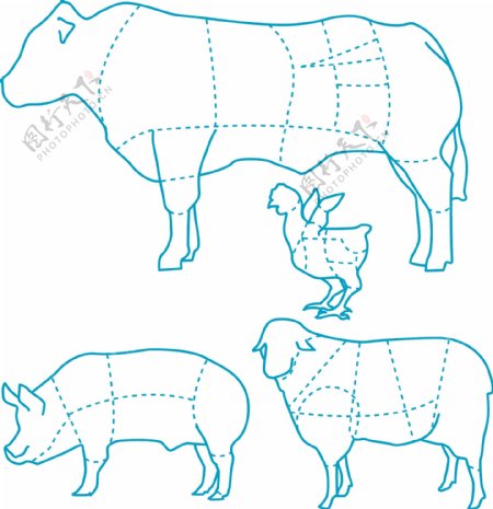 牛猪羊鸡食用分布图矢量素材sxzj