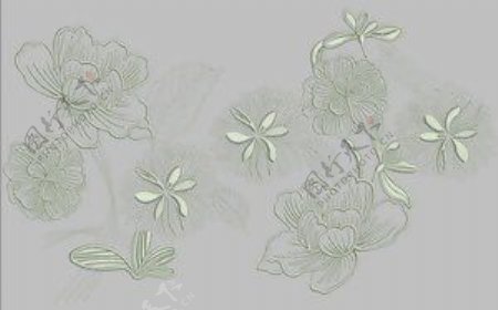 绣花植物花卉色彩灰色优雅植物免费素材