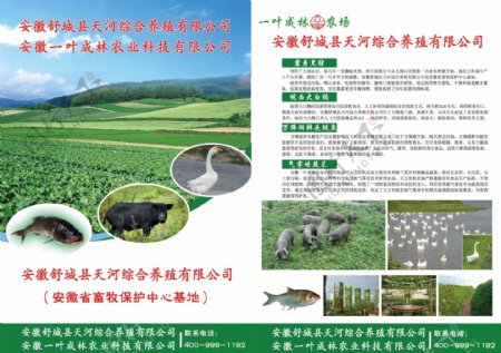 农林业宣传单图片
