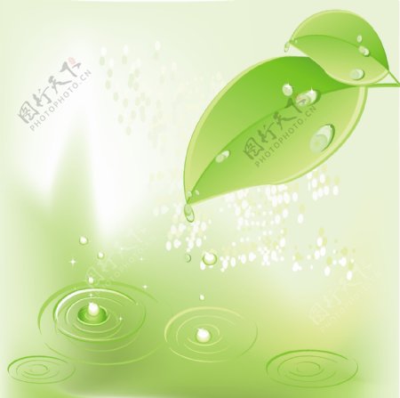 绿叶瓢虫水珠矢量素材