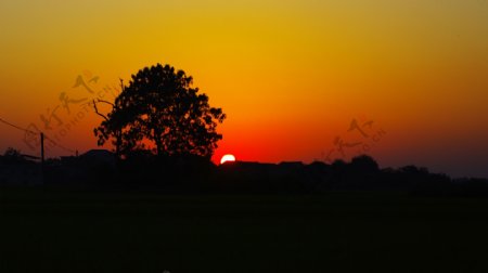 夕阳西下图片