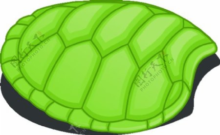 valessiobrito蹄绿海龟的剪辑艺术