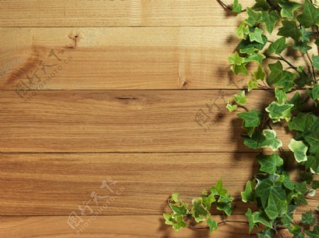 高清绿叶装饰木板纹路背景图