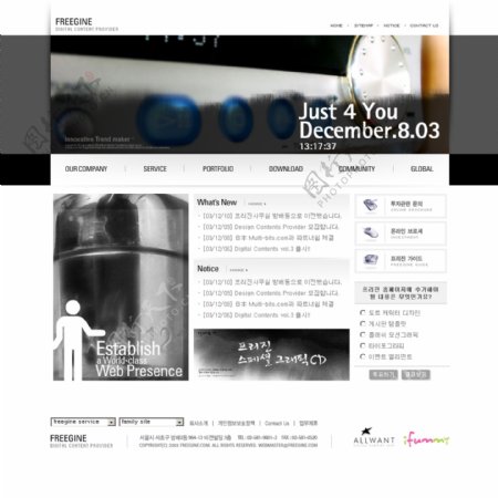 韩国freeging公司制作的网页模板图片