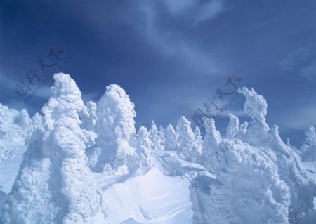 冬天雪景