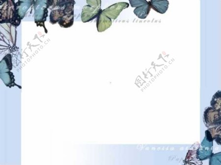 漂亮的蝴蝶背景蓝色PPT模板