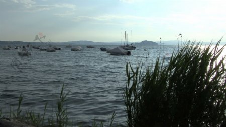 博赛纳湖芦苇船股票视频