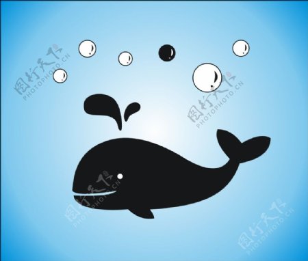 黑白海豚