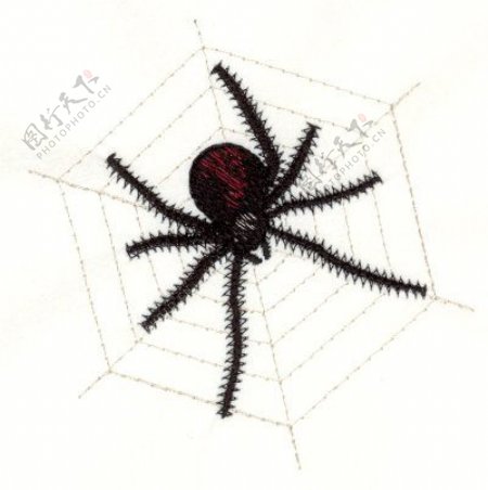 绣花动物蜘蛛色彩黑色免费素材