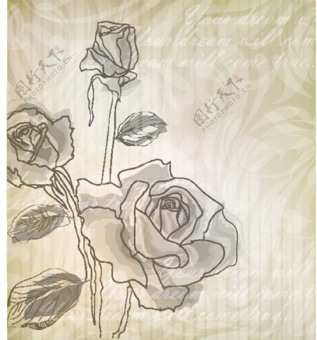 优雅的玫瑰图案背景04矢量