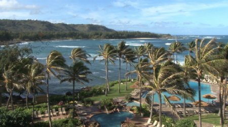 夏威夷阳光度假村股票视频视频免费下载