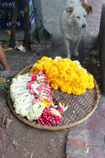 泰国街边商贩卖的花朵花环