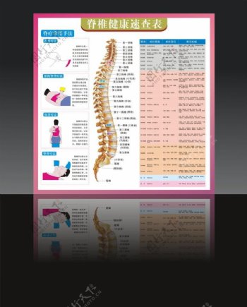 脊椎健康速查表图片
