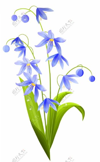 花朵蓝色矢量卡通