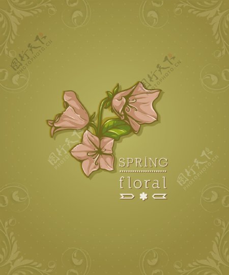 春天开花的花卉背景矢量插画