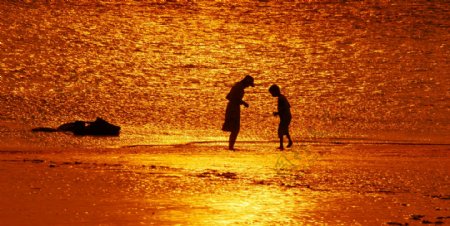 海滩夕阳拾贝壳图片