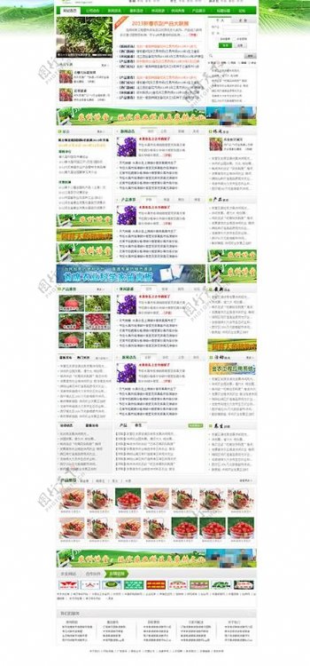 绿色门户网站图片