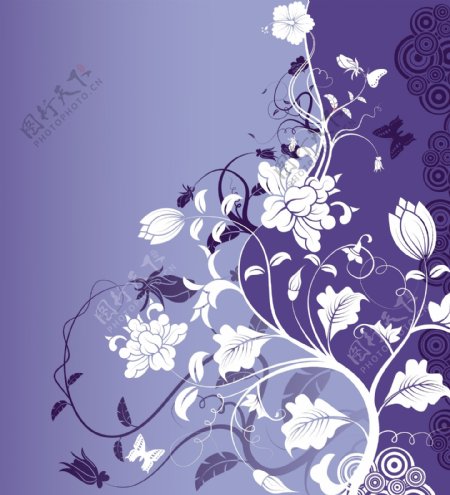 蓝紫色花蕾矢量素材