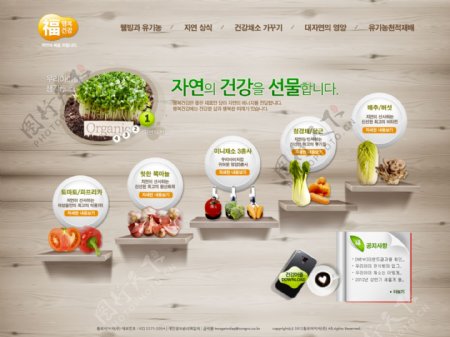 新鲜蔬菜网页psd模板