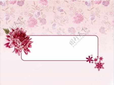 粉色女性花朵主题ppt模板