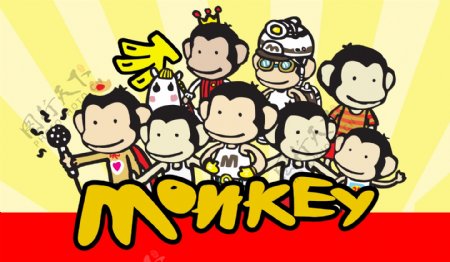 台湾小猴子图片