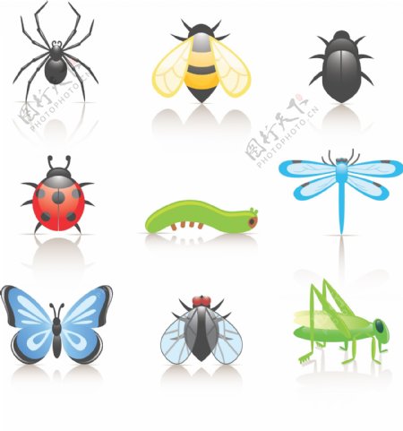 昆虫图标图片