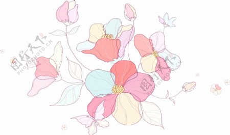 手绘素描风格花朵植物