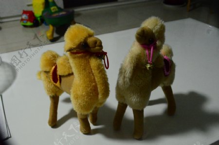 玩具骆驼图片