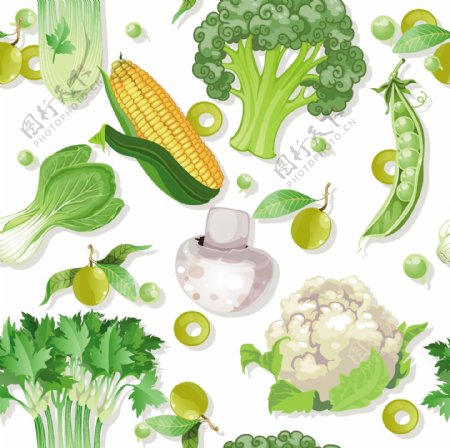 矢量新鲜蔬菜素材图片