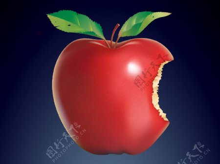 多汁的红苹果咬树叶矢量图形