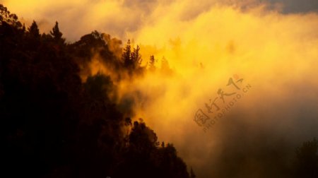 云雾缭绕的山间素材视频素材