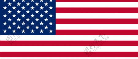 美国的国旗矢量图形