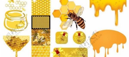 现实主义绘画的蜜蜂有关的矢量素材