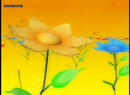 模拟鲜花盛开动态视频