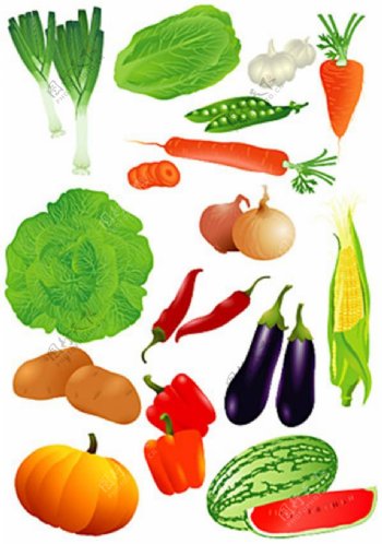 水果蔬菜矢量素材